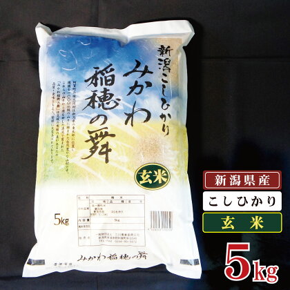 玄米 5kg 新潟県産 コシヒカリ 「みかわ稲穂の舞」 令和4年産 5kg × 1袋 阿賀 三川 | 米 こしひかり 送料無料 お取り寄せ お米