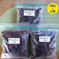 【ふるさと納税】 フルーツ ブラックベリー 冷凍 無農薬栽培 1.5kg 500g × 3袋 新潟 阿賀 ブラックフーズ 送料無料 画像1