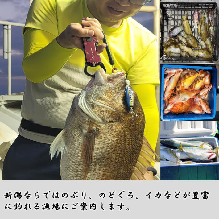 【ふるさと納税】釣り船チケット（貸し切りコース）遊漁船「孝信丸」