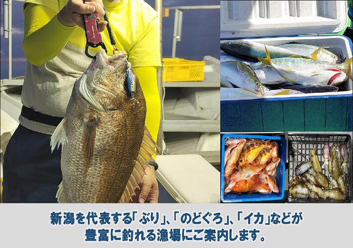 【ふるさと納税】釣り船チケット（深海コース）遊漁船「孝信丸」 3