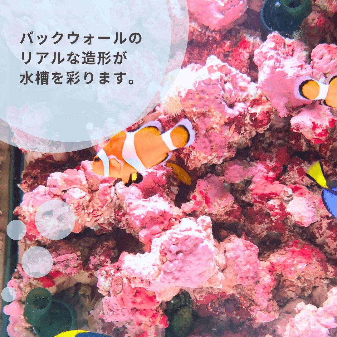 新潟県出雲崎町の画像3