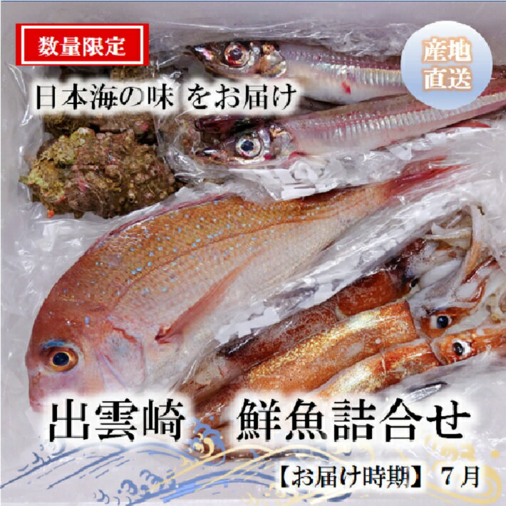 出雲崎 鮮魚詰め合わせ