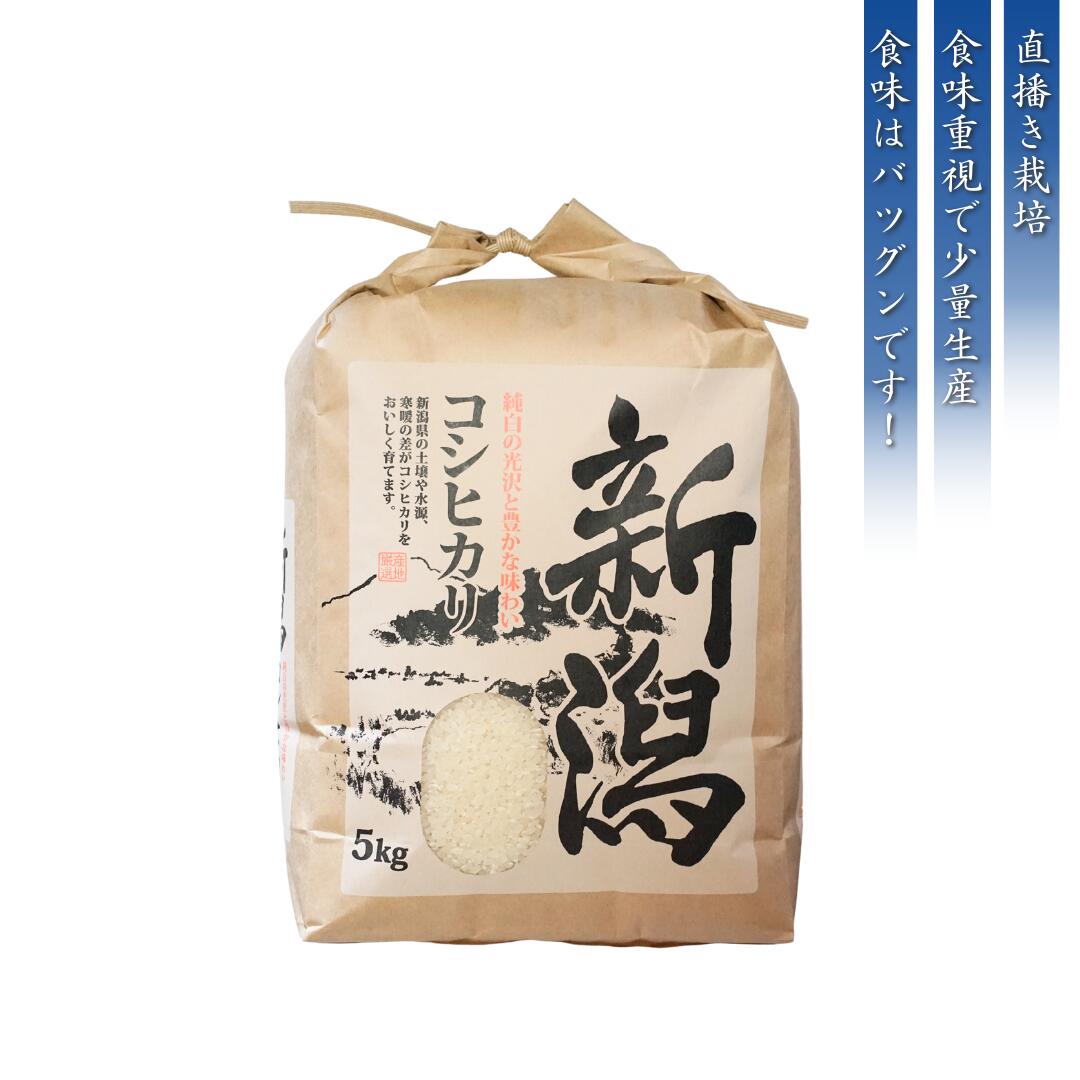 新潟県出雲崎町の画像3