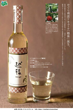 かぐら南蛮 リキュール 「越後」500ml 新潟 地酒 越後湯沢【地場産品】