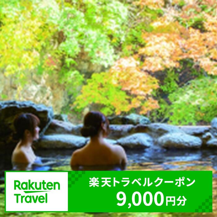 新潟の旅行券（宿泊券） 【ふるさと納税】新潟県湯沢町の対象施設で使える楽天トラベルクーポン 寄附金額30,000円【楽天】越後湯沢 新潟県 南魚沼 旅行券 宿泊券 宿泊補助券 旅行 トラベル クーポン チケット 金券 ホテル 旅館 リゾート 国内旅行 宿泊 観光 スキー スノーボード 苗場 全国旅行支援