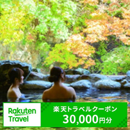 新潟県湯沢町の対象施設で使える楽天トラベルクーポン 寄附金額100,000円【楽天】越後湯沢 新潟 南魚沼 旅行券 宿泊券 旅行 トラベル クーポン チケット 金券 ホテル 旅館 リゾート 国内旅行 宿泊 観光 スキー スノーボード 苗場 全国旅行支援