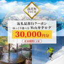 【ふるさと納税】旅行ツアークーポン(30,000円分) 【ゆっくり選べるWebカタログ】 事前予約 新潟県 湯沢町 越後湯沢 …