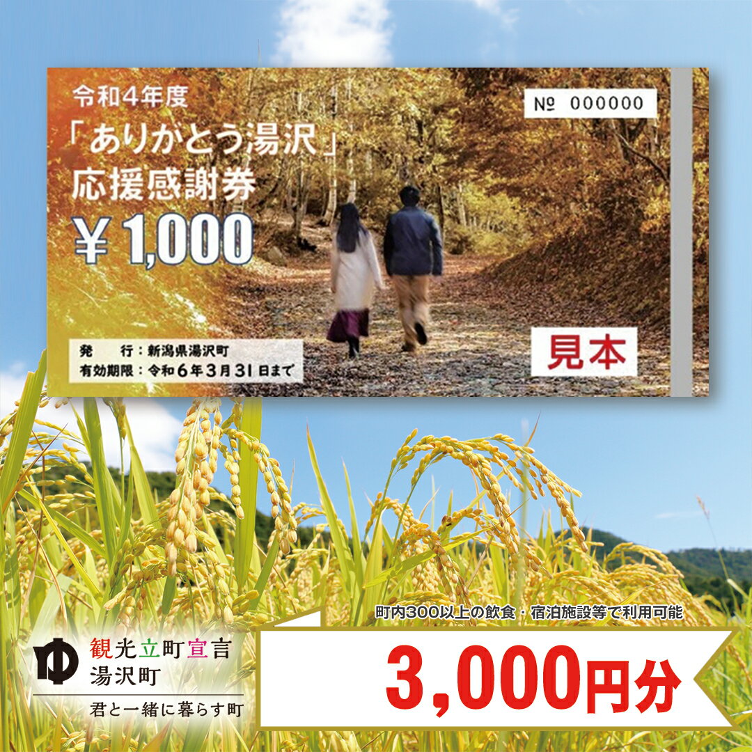 【ふるさと納税】 「ありがとう湯沢」応援感謝券 【3,000円分】｜ 旅行券 クーポン券 割引券 サービス券 旅行 観光 スキー場 温泉 お土産 旅館 ホテル 民宿 レジャー施設 お食事券 地域商品券 リフト券 旅行券 スノーボード チケット 全国旅行支援 越後湯沢･･･