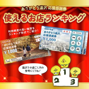 【ふるさと納税】 「ありがとう湯沢」応援感謝券 【3,000円分】｜ 旅行券 クーポン券 割引券 サービス券 旅行 観光 スキー場 温泉 お土産 旅館 ホテル 民宿 レジャー施設 お食事券 地域商品券 リフト券 旅行券 スノーボード チケット 全国旅行支援 越後湯沢