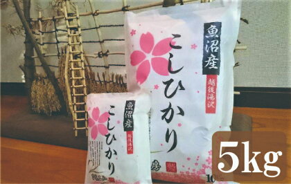 令和5年産 農家直送！越後湯沢発 精米5kg【湯沢産コシヒカリ】南魚沼産 こしひかり