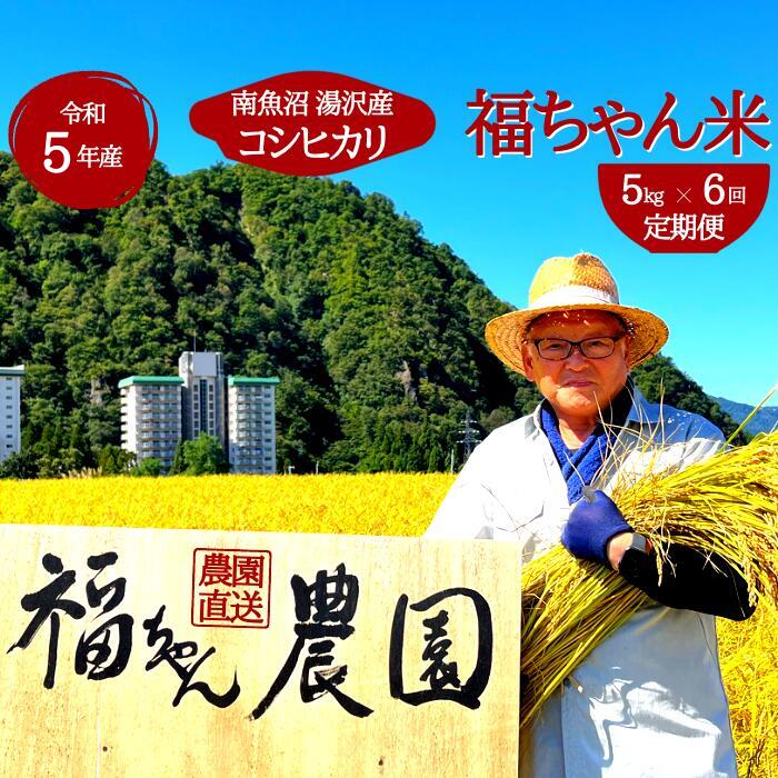 令和5年産[精米 5kg / 6ヶ月定期便]谷川連峰の清流で育ったブランド米「福ちゃん米」 [魚沼産コシヒカリ]南魚沼産 こしひかり 6回定期便