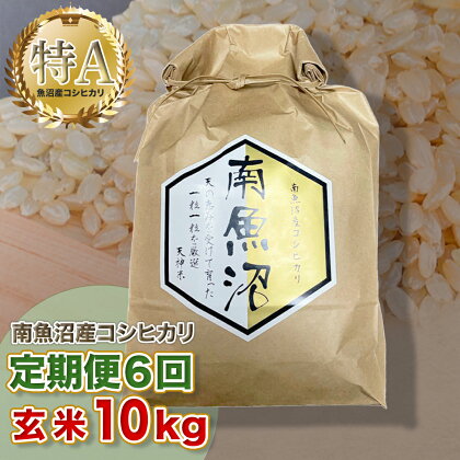 【6ヶ月定期便】令和5年産 「越後湯沢産」玄米 10kg×6回【湯沢産コシヒカリ】南魚沼産 こしひかり 【特A】