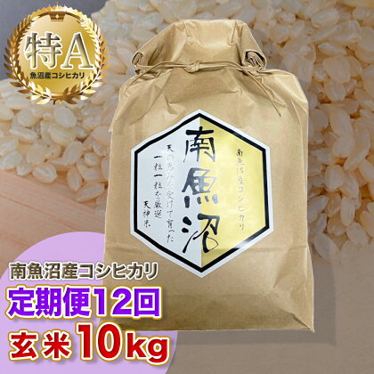 【12ヶ月定期便】令和5年産 「越後湯沢産」玄米 10kg×12回【湯沢産コシヒカリ】南魚沼産 こしひかり【特A】