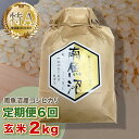 【ふるさと納税】【6ヶ月定期便】令和5年産 「越後湯沢産」玄米 2kg×6回【湯沢産コシヒカリ】南魚沼産 こしひかり 【特A】 1