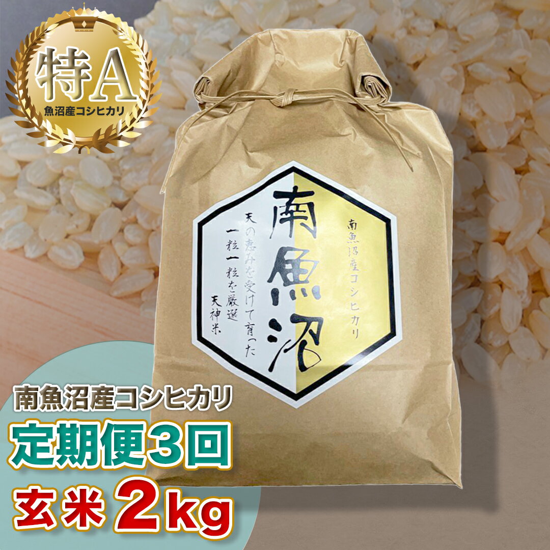 【ふるさと納税】【3ヶ月定期便】令和5年産 「越後湯沢産」玄米 2kg×3回【湯沢産コシヒカリ】南魚沼産 こしひかり 【特A】