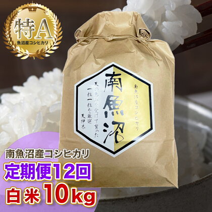 【12ヶ月定期便】令和5年産 「越後湯沢産」精米(白米)10kg×12回【湯沢産コシヒカリ】南魚沼産 こしひかり【特A】