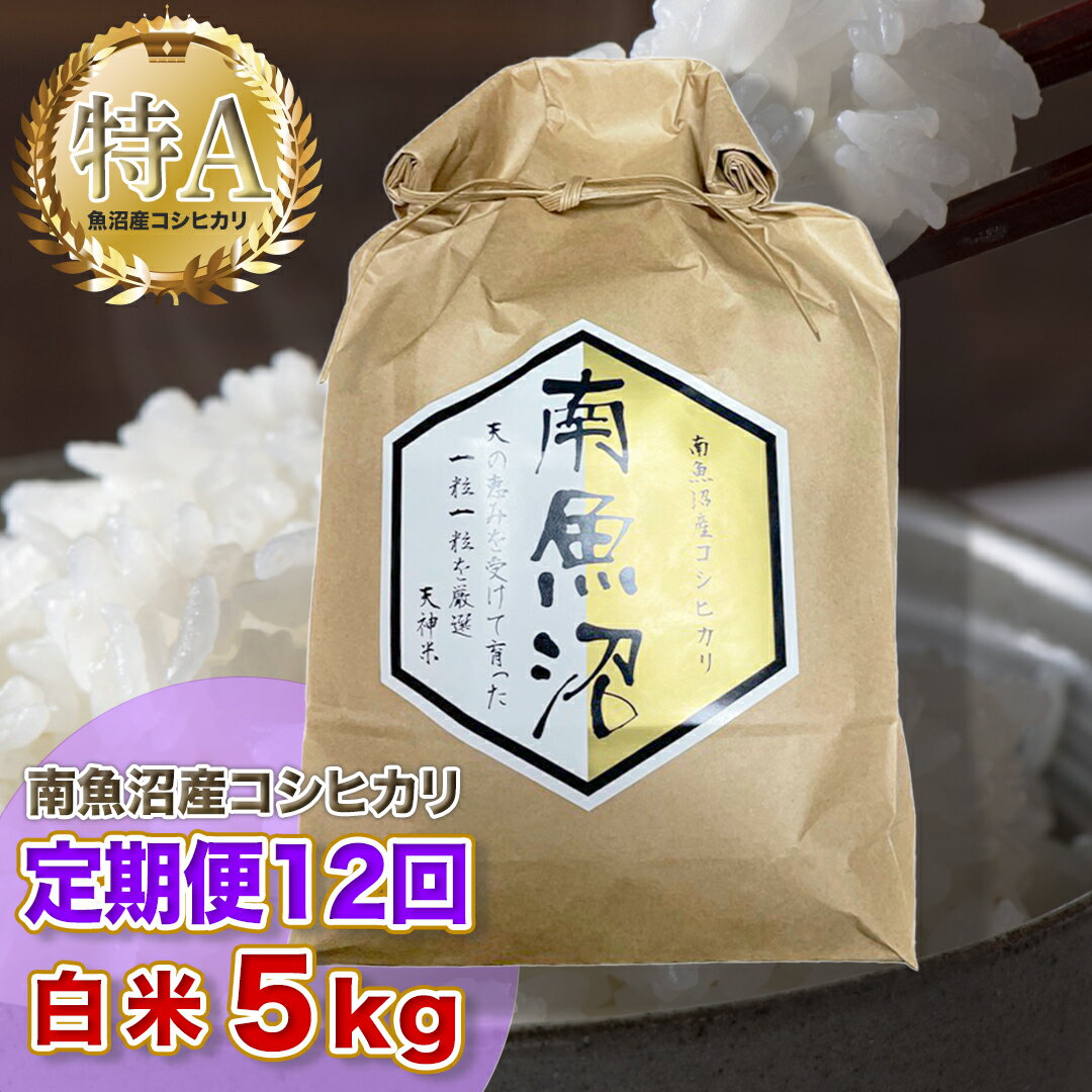 13位! 口コミ数「0件」評価「0」【12ヶ月定期便】令和5年産 「越後湯沢産」精米(白米)5kg×12回【湯沢産コシヒカリ】南魚沼産 こしひかり【特A】