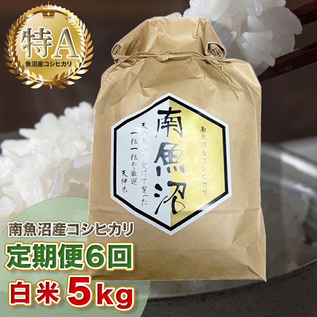 【ふるさと納税】【6ヶ月定期便】令和5年産 「越後湯沢産」精米(白米)5kg×6回【湯沢産コシヒカリ】南魚沼産 こしひかり【特A】