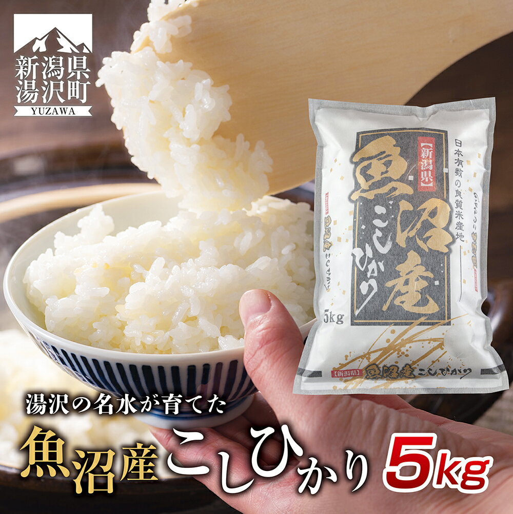 令和4年産新米予約 湯沢源流米 精米5kg 限定品 精米5kg