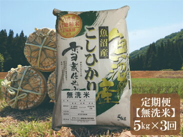 【ふるさと納税】 令和3年産 【無洗米5kg/3回定期便】「雪蔵仕込み」 【湯沢産コシヒカリ】