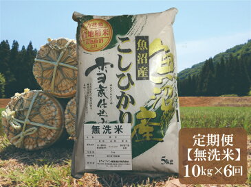 【ふるさと納税】 令和4年産新米予約 【無洗米10kg/6回定期便】「雪蔵仕込み」 【湯沢産コシヒカリ】