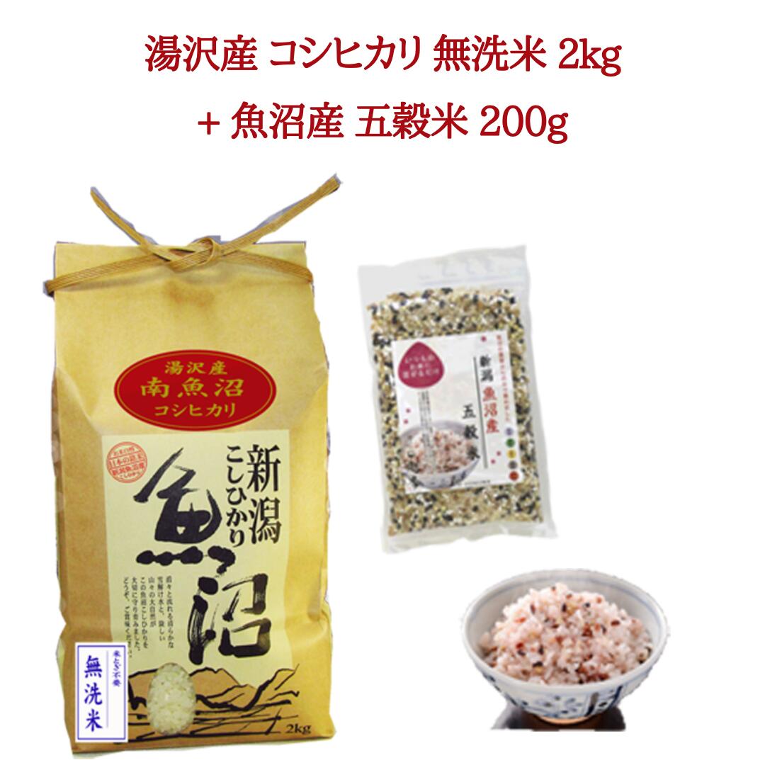 【ふるさと納税】令和5年産 湯沢産コシヒカリ 無洗米 2kg