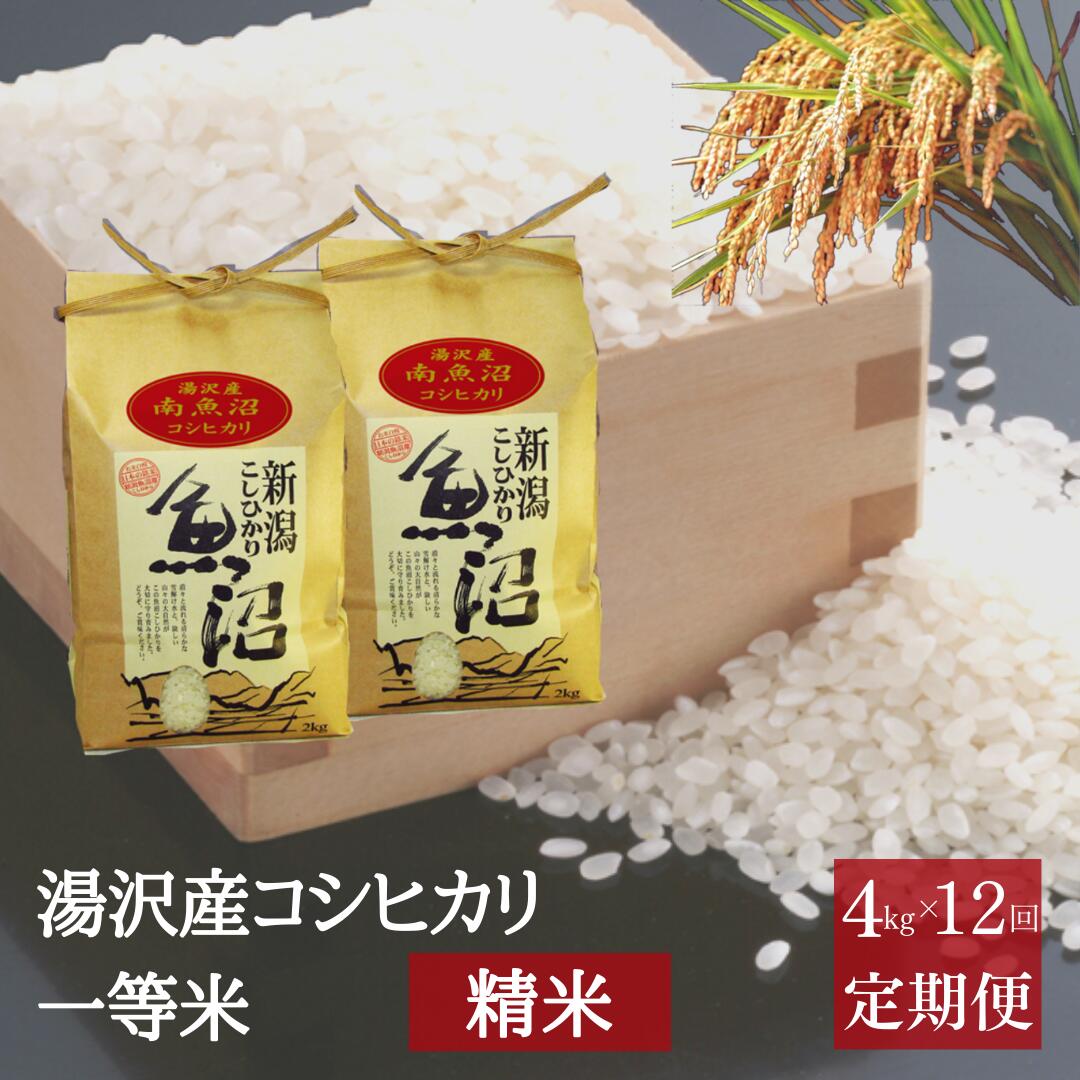 令和5年産 【精米4kg（2kg×2袋）12ヶ月定期便】湯沢産コシヒカリ＜精米＞（白米） 精米したてのお米をお届け 南魚沼産 こしひかり 12回定期便