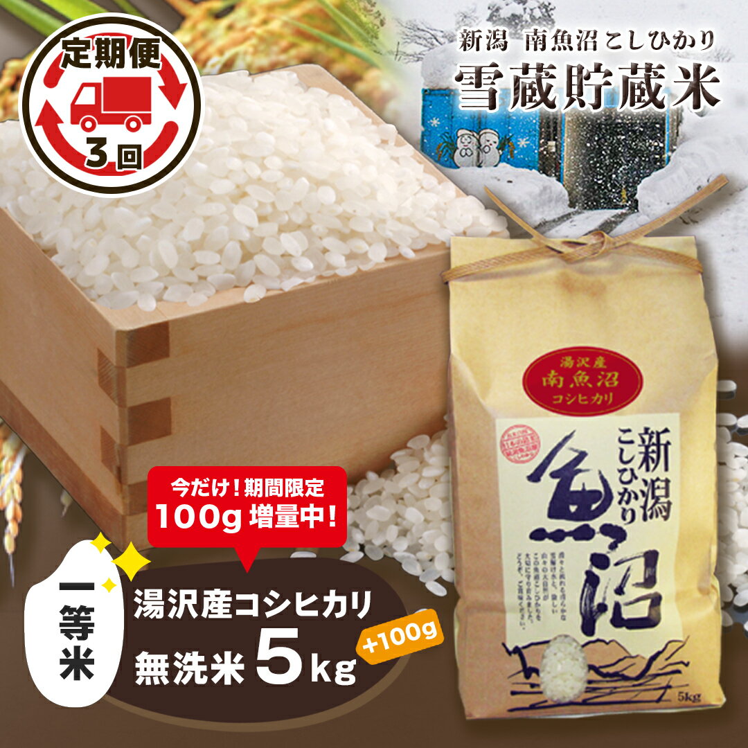 令和5年産 湯沢産コシヒカリ 雪蔵貯蔵米 ＜無洗米＞【5kg/ 3ヶ月定期便 】精米したてのお米をお届け 【期間限定 100g増量中！】