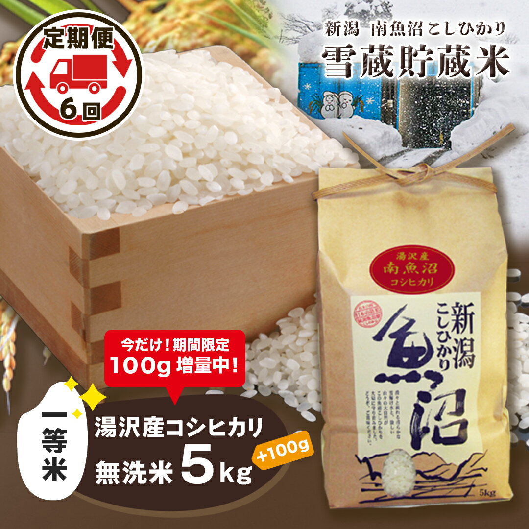 令和5年産 湯沢産コシヒカリ 雪蔵貯蔵米 ＜無洗米＞【5kg/ 6ヶ月定期便 】精米したてのお米をお届け 【期間限定 100g増量中！】