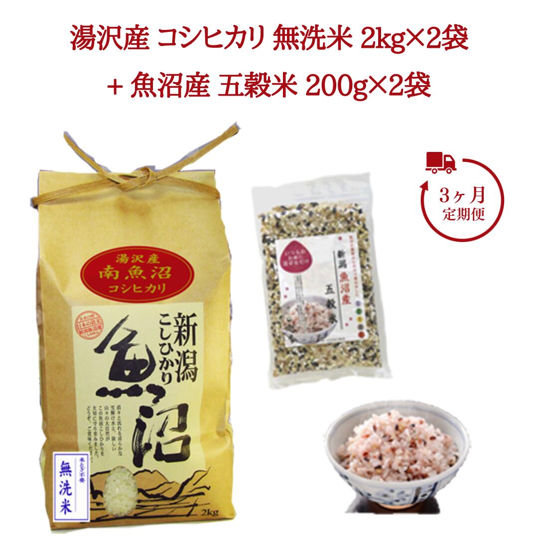 3ヶ月定期便 令和5年産 湯沢産コシヒカリ 無洗米2kg×2袋(計4kg)・魚沼産五穀米 200g×2袋(計400g)魚沼最上流域 魚沼産コシヒカリ 南魚沼産 こしひかり 3回定期便