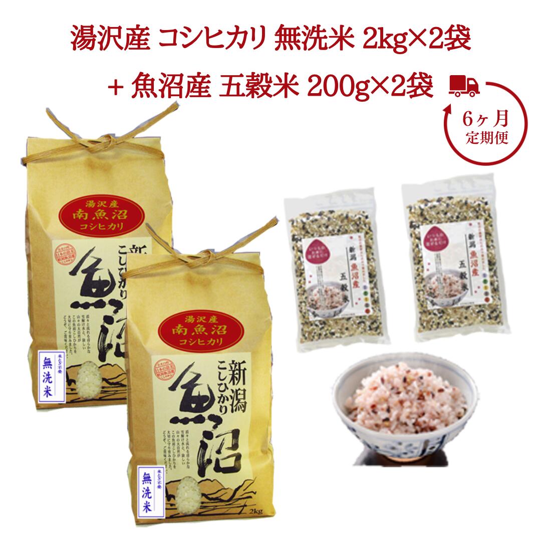 6ヶ月定期便 令和5年産 湯沢産コシヒカリ 無洗米2kg×2袋（計4kg）・魚沼産五穀米 200g×2袋（計400g）魚沼最上流域 魚沼産コシヒカリ 南魚沼産 こしひかり 6回定期便