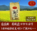 【ふるさと納税】 令和4年産 新米 【精米5kg/12回定期便】湯沢産コシヒカリ＜精米＞（白米） 精米したてのお米をお届け