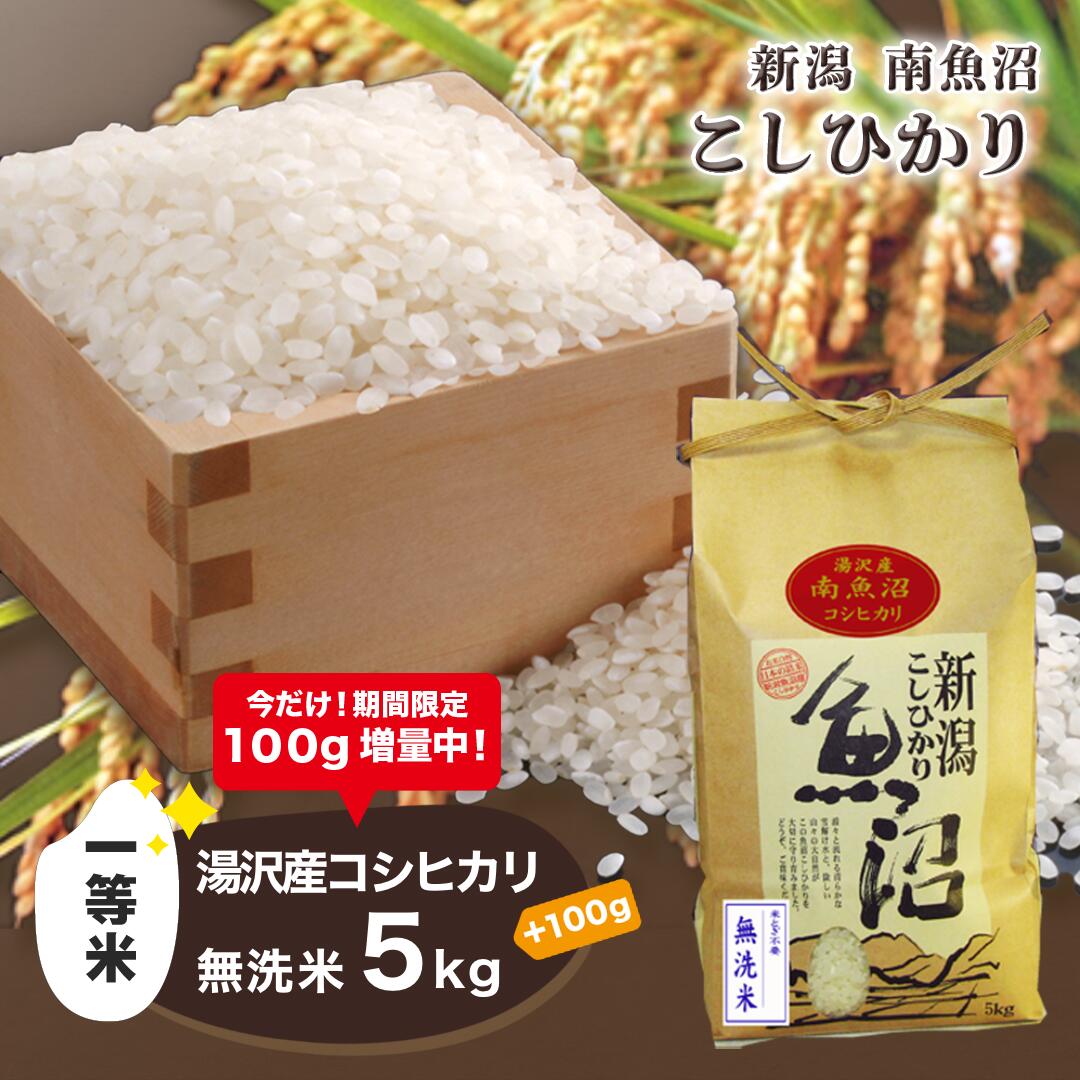 令和5年産 湯沢産コシヒカリ＜無洗米＞5kg 【期間限定 100g増量中！】