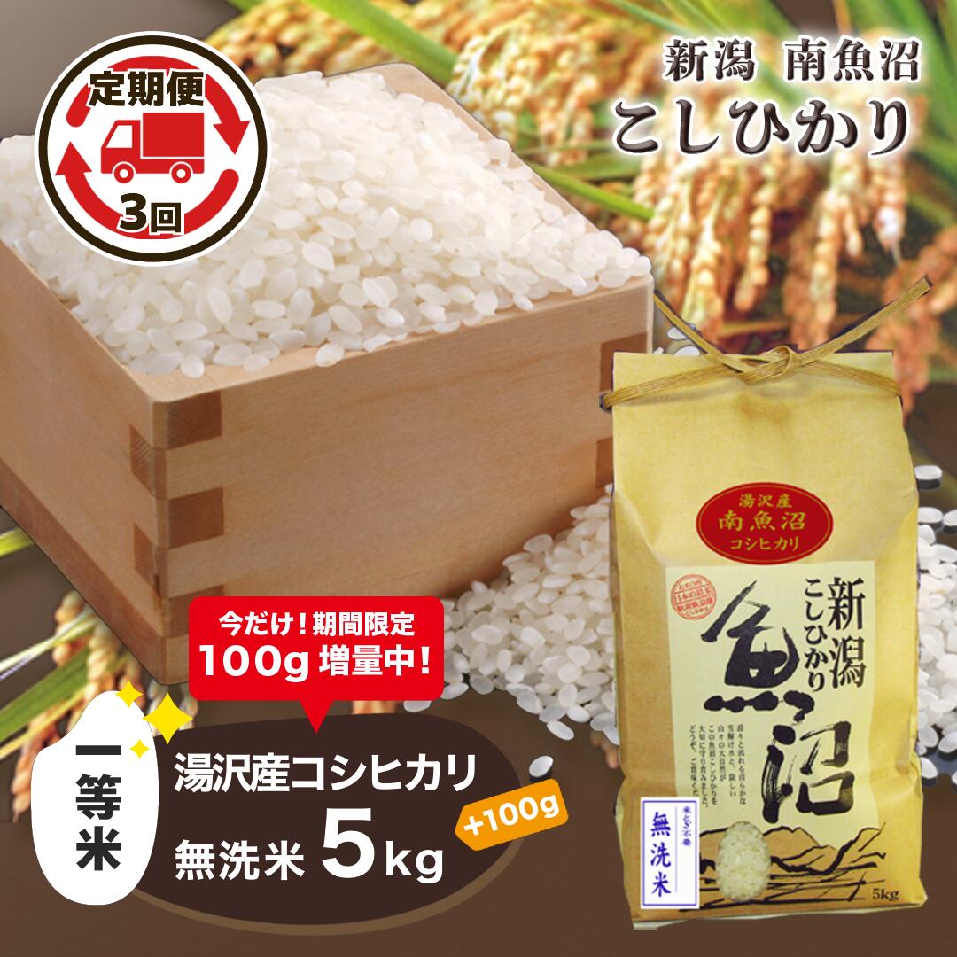 令和5年産 【無洗米5kg/3ヶ月定期便】湯沢産コシヒカリ＜無洗米＞ 南魚沼産 こしひかり 3回定期便 【期間限定 100g増量中！】