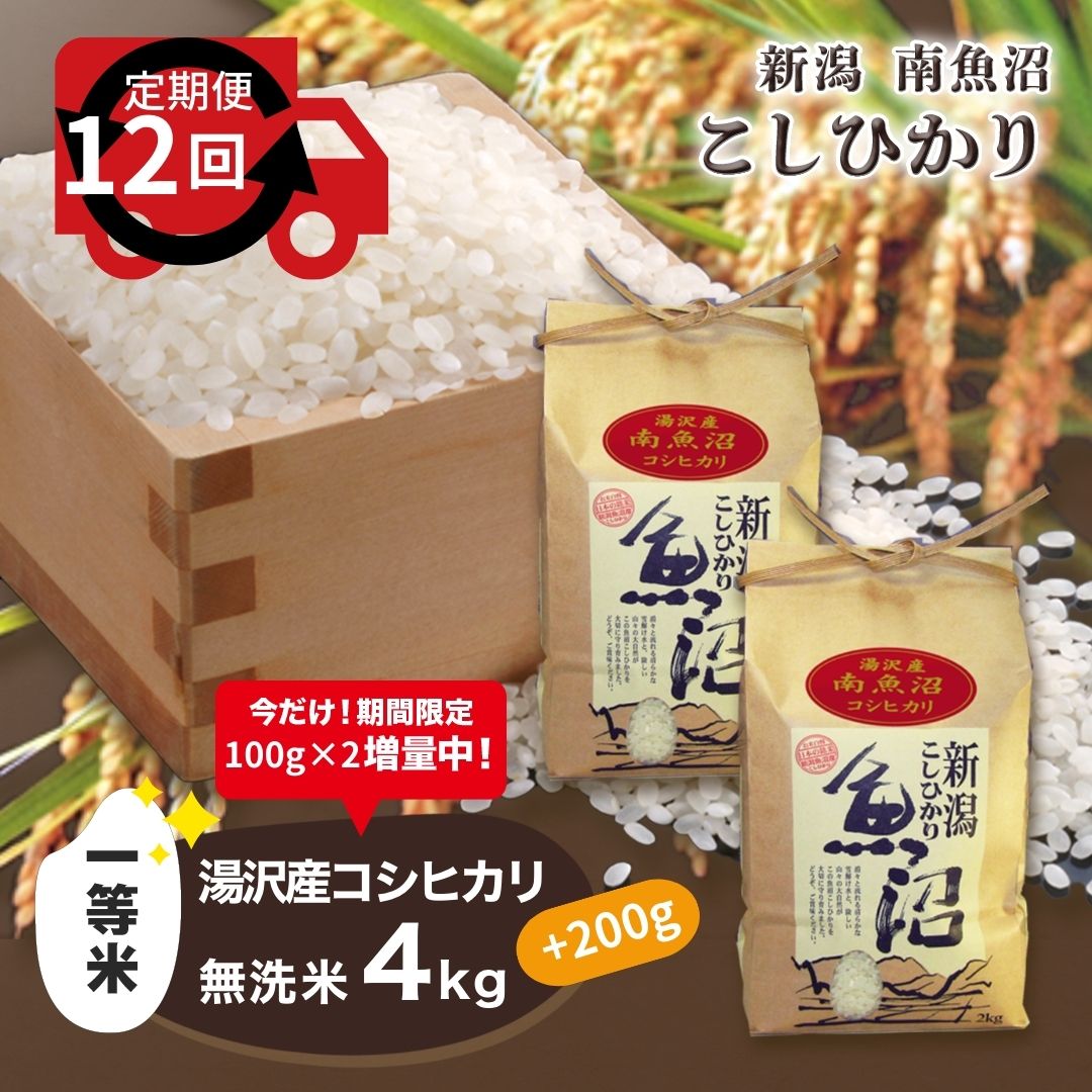 令和5年産 【無洗米4kg/12ヶ月定期便】湯沢産コシヒカリ＜無洗米＞ 南魚沼産 こしひかり 12回定期便 【期間限定 200g増量中！】