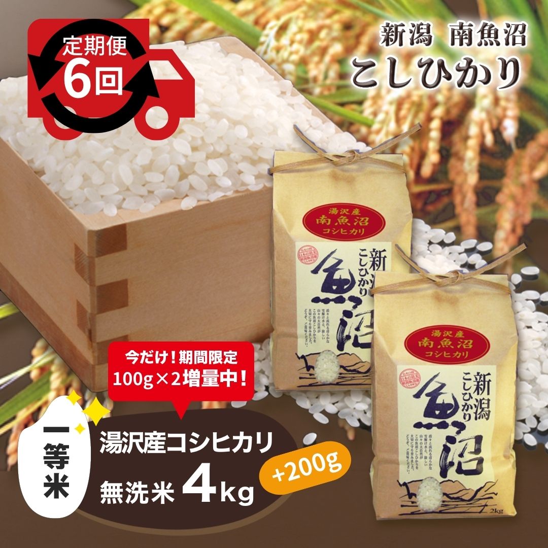 令和5年産【無洗米4kg/6ヶ月定期便】湯沢産コシヒカリ＜無洗米＞ 南魚沼産 こしひかり 6回定期便 【期間限定 200g増量中！】