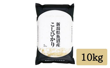 令和5年産「雪蔵仕込み」 精米10kg 【湯沢産コシヒカリ】南魚沼産 こしひかり