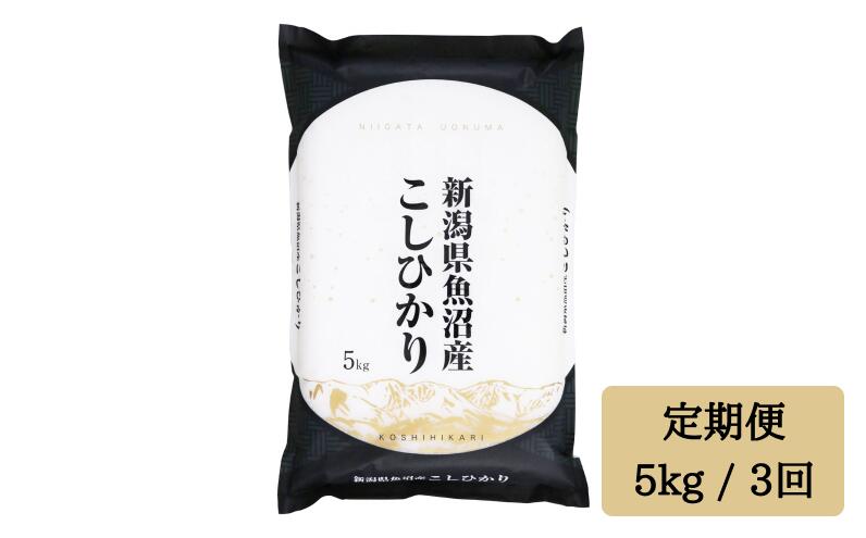 令和5年産 [精米5kg/3ヶ月定期便]計15kg 「雪蔵仕込み」白米 [湯沢産コシヒカリ]南魚沼産 こしひかり 3回定期便