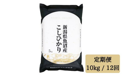 令和5年産 【精米10kg/12ヶ月定期便】「雪蔵仕込み」 【湯沢産コシヒカリ】南魚沼産 こしひかり 12ヶ月定期便