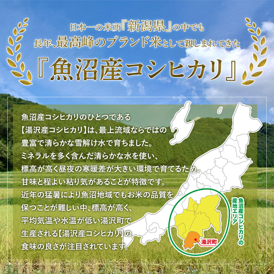 【ふるさと納税】【3ヶ月定期便】令和5年産 「越後湯沢産」玄米 10kg×3回【湯沢産コシヒカリ】南魚沼産 こしひかり 【特A】