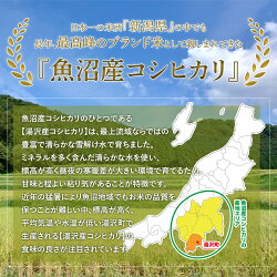 【ふるさと納税】令和4年産「越後湯沢産」精米(白米)5kg【湯沢産コシヒカリ】 南魚沼産 こしひかり【特A】 画像1