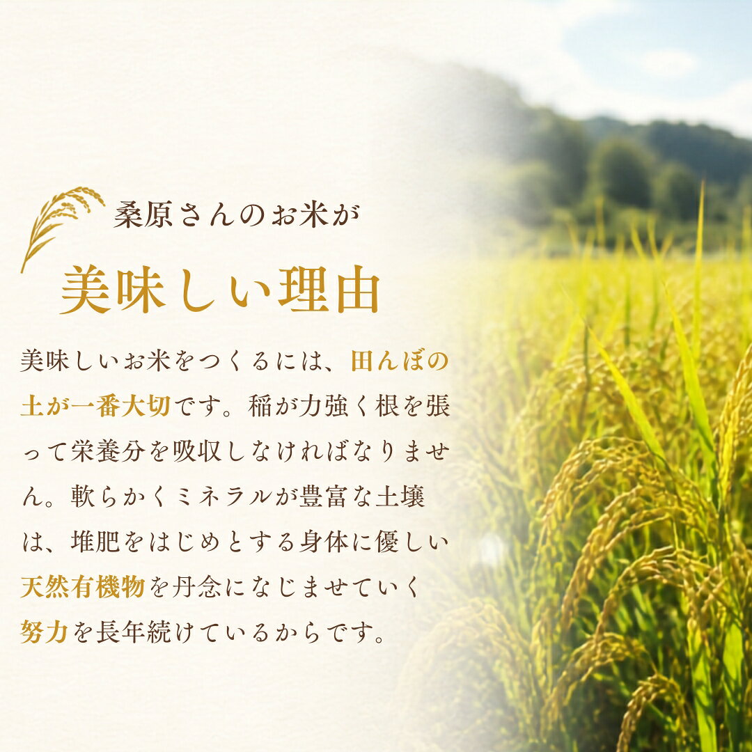 【ふるさと納税】【令和8年産先行予約】 無洗米 10kg ( 5kg × 2袋 ) 最高級 魚沼産 コシヒカリ 特別栽培米 ダイヤモンド褒賞受賞 選べる配送回数 | こしひかり お米 おこめ こめ コメ 白米 無洗米 新潟県 津南町