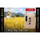 【ふるさと納税】【2025年産新米】【6ヶ月定期便】合計30kg 5kg×6回 元祖魚沼産コシヒカリ