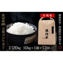 【ふるさと納税】【2025年産新米】【12ヶ月定期便】合計120kg 10kg×12回 元祖魚沼産コシヒカリ
