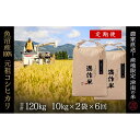 【ふるさと納税】【2025年産新米】【6ヶ月定期便】合計120kg 20kg×6回 元祖魚沼産コシヒカリ