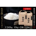 【ふるさと納税】【2025年産新米】【12ヶ月定期便】合計240kg 20kg×12回 元祖魚沼産コシヒカリ