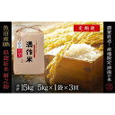 【ふるさと納税】【2025年産新米】【3ヶ月定期便】合計15kg(5kg×3回) 県認証 魚沼産新之助