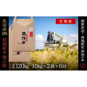 【ふるさと納税】【2025年産新米】【6ヶ月定期便】合計120kg(20kg×6回) 県認証 魚沼産新之助