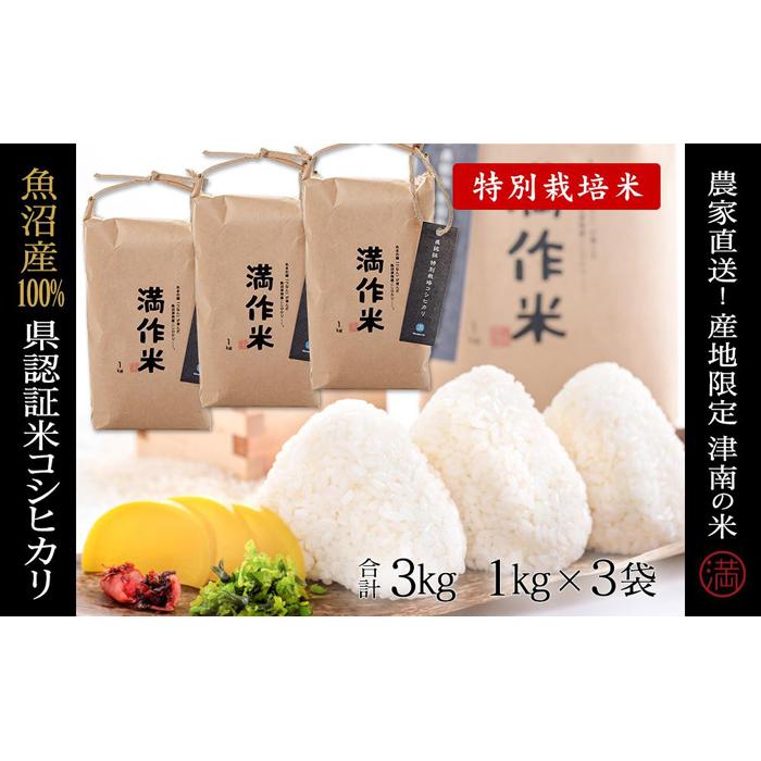 【ふるさと納税】【2025年産新米】県認証米魚沼産コシヒカリ 3kg 産地限定!農家直送