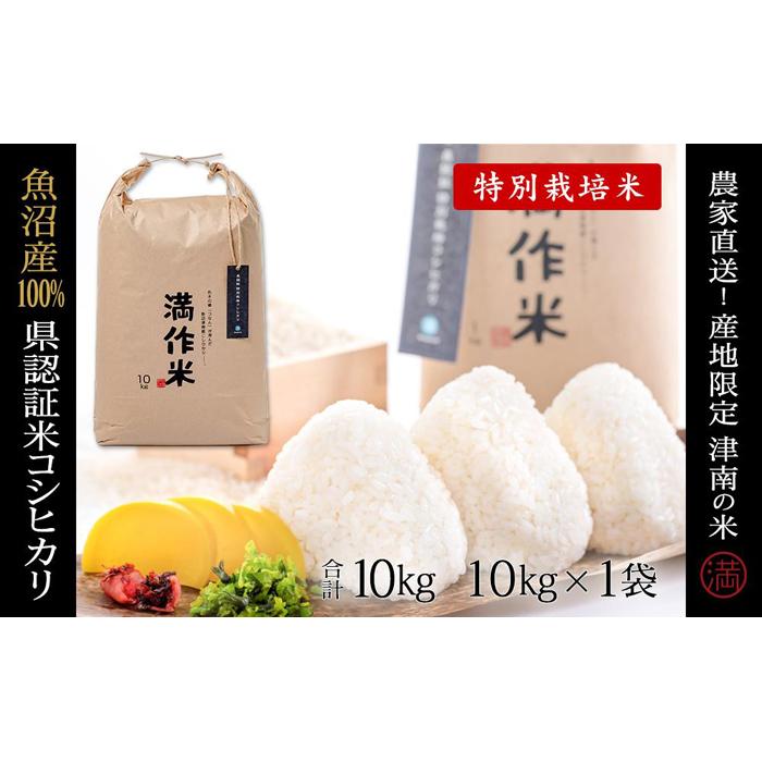 【ふるさと納税】【2025年産新米】県認証米魚沼産コシヒカリ 10kg 産地限定!農家直送